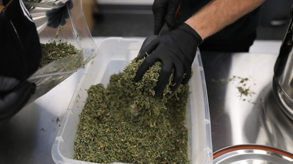 La legalización de la marihuana no es la vía para pacificar México