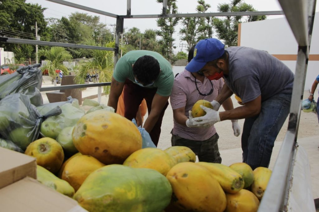 Durante estos días, continuo la entrega de los apoyos alimentarios que en coordinación con el Gobierno del Estado se ha brindado a las familias Tekaxeñas en apoyo de esta contingencia sanitaria por el coronavirus COVID-19