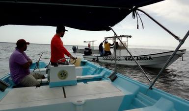Celestún y Dzilam de Bravo, los focos rojos por la pesca furtiva