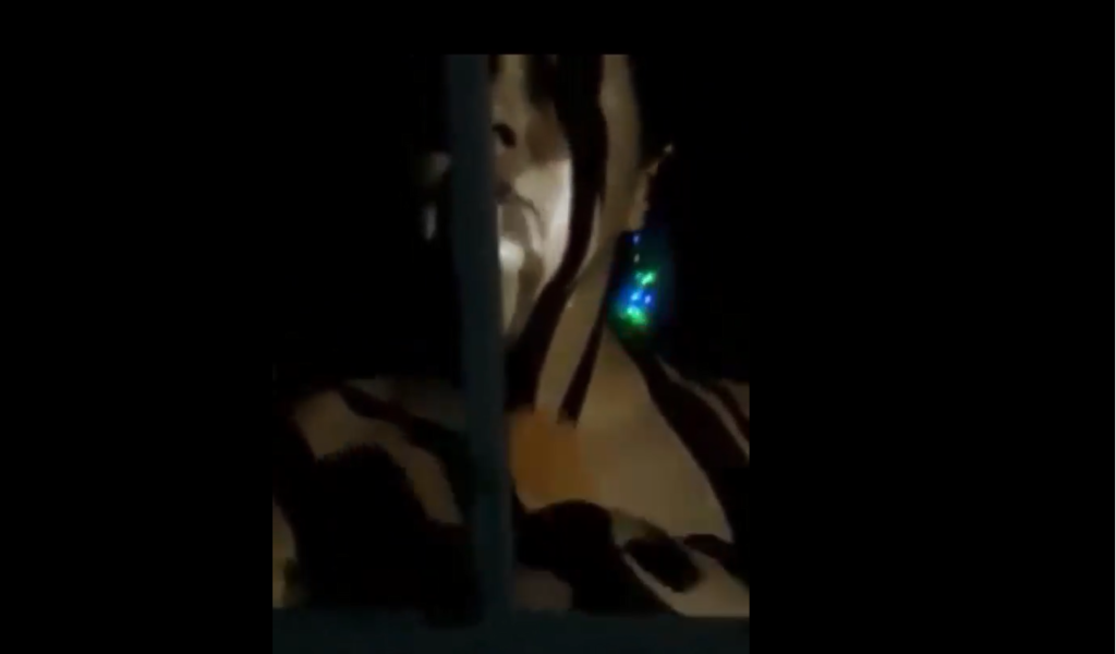 Repartidores de comida enfrentan a familia que no paga por sus servicios (Video)