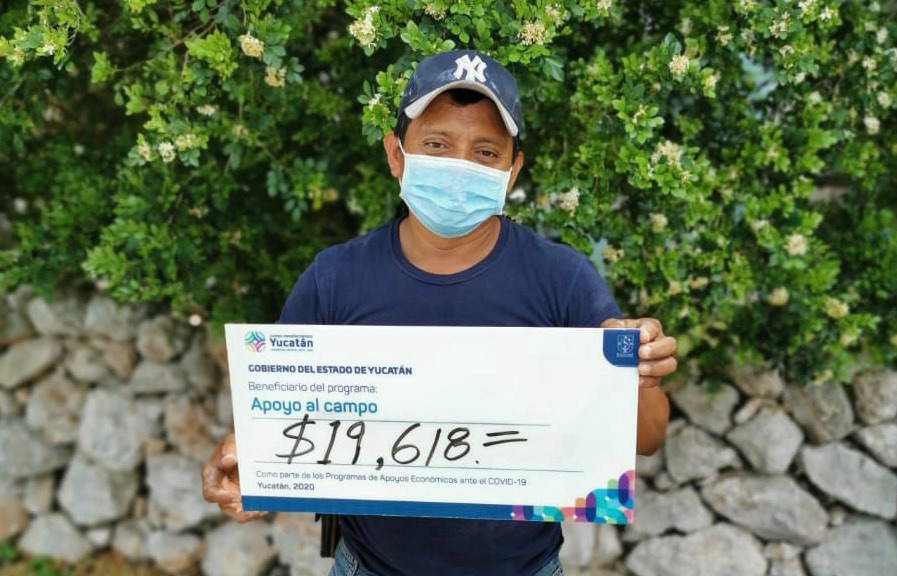 Productores yucatecos de cítricos de 11 municipios reciben apoyos económicos del Gobierno del Estado ante la contingencia por el Coronavirus