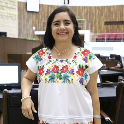 Presentará propuesta para que ayuntamiento responda por daños a la propiedad privada
