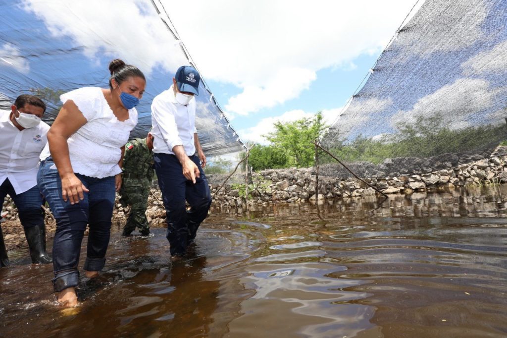 El Gobernador Mauricio Vila Dosal continúa brindando apoyo y llevando ayuda a las comunidades afectadas por “Cristóbal”