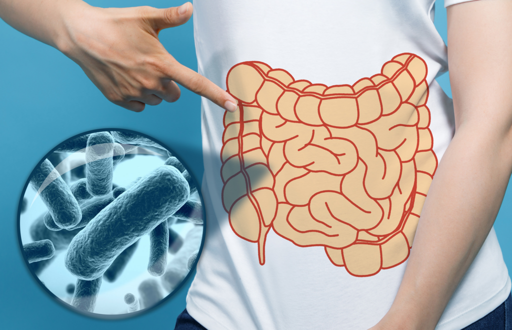 El consumo de probióticos ofrece múltiples beneficios para la salud