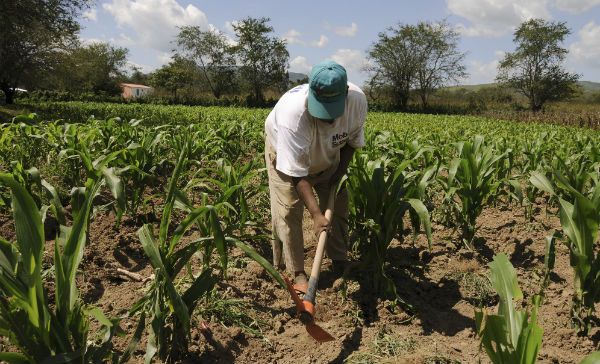 Innovación y tecnología, claves para producir alimentos y cuidar el medio ambiente