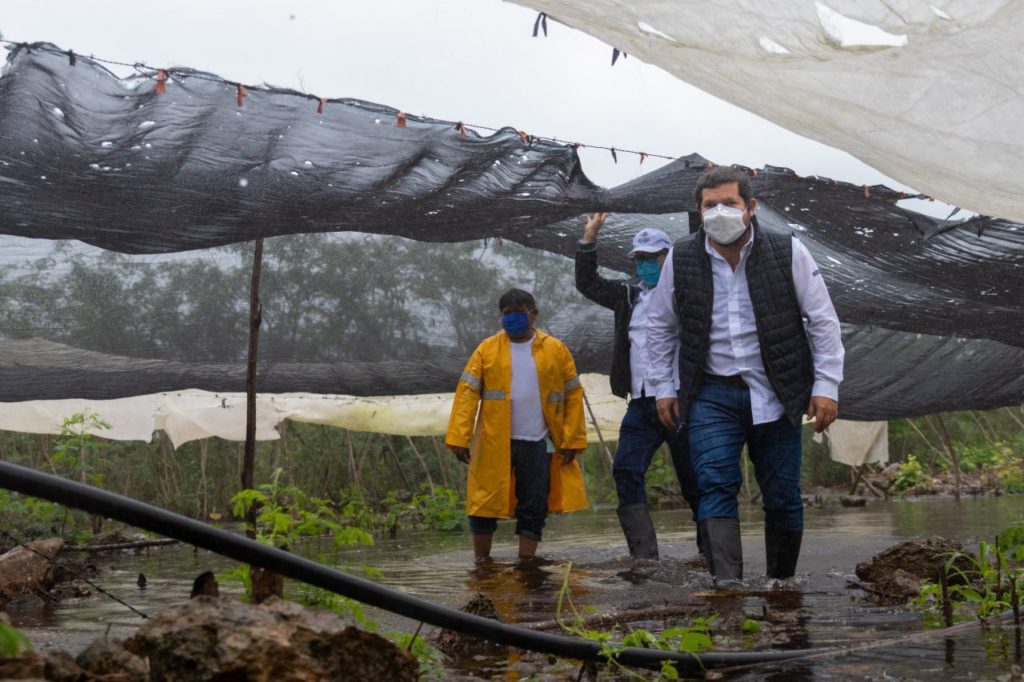 Autoridades estatales y productores yucatecos recorren zonas de cultivo afectadas por fuertes lluvias