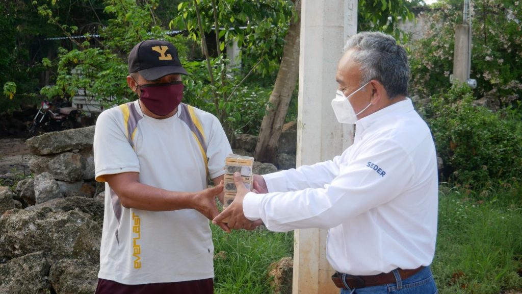 El Gobernador Mauricio Vila Dosal continúa apoyando a los apicultores de Yucatán con abejas reina
