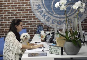 Las mascotas ayudan a combatir estrés, aumentan la productividad y felicidad en el trabajo