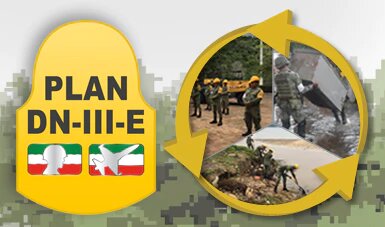 Plan DNIIIE de la SEDENA protegerá a las tortugas en Telchac