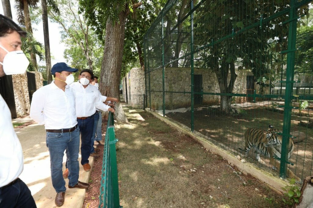 El Gobernador Mauricio Vila Dosal recorre el zoológico “La Reina” de Tizimín para supervisar los trabajos de construcción y remodelación