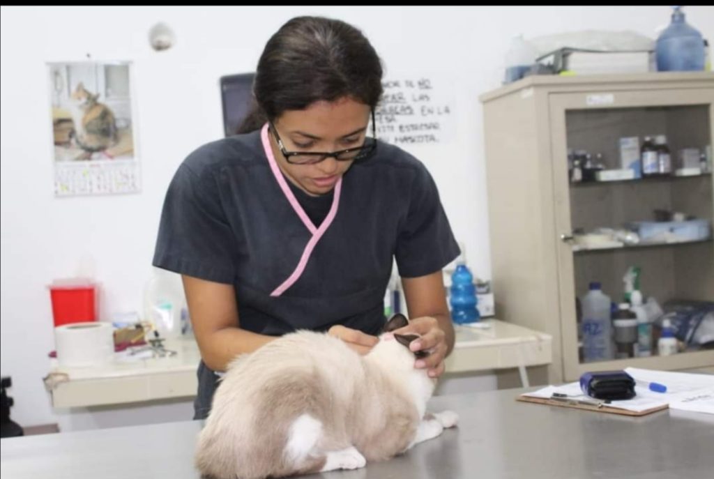 A partir de este lunes 17 reanuda servicios el Módulo Veterinario del Ayuntamiento