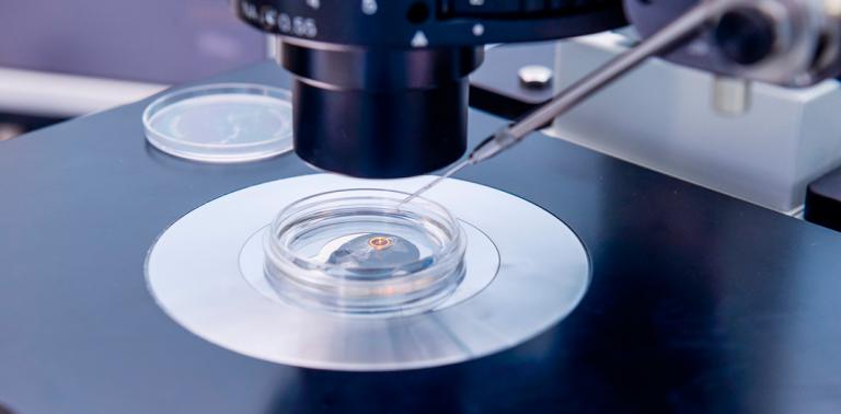 Estudios advierten de riesgos en la salud de niños concebidos por técnicas de reproducción asistida