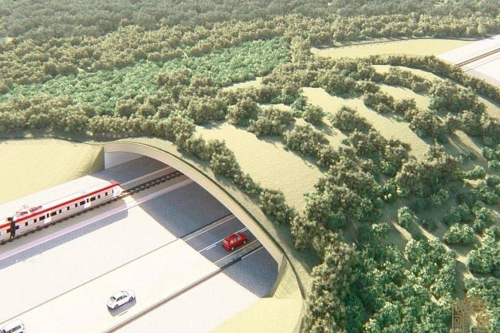 El Programa de Manejo de la Reserva Cuxtal prohíbe el paso del Tren Maya
