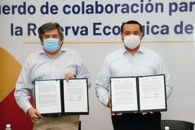El tren maya sólo perjudicará el 0.28% de las hectáreas de la reserva Cuxtal