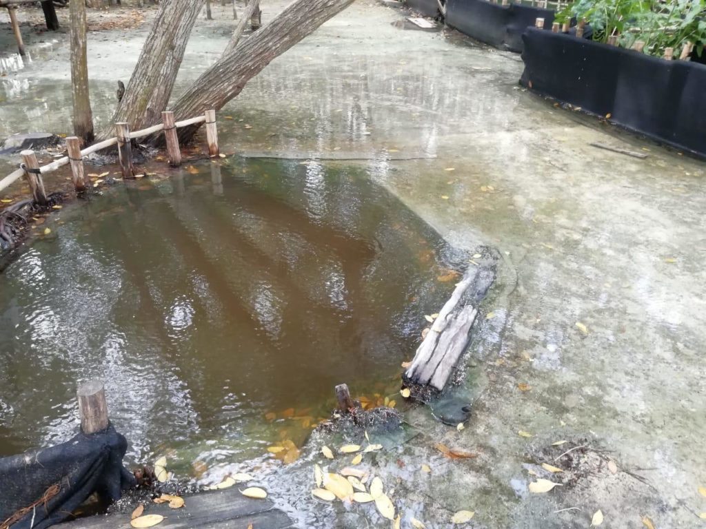 Creciente causa cierre temporal de El corchito, pero se puede dar un paseo en lancha