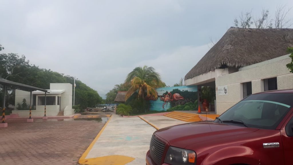 Empiezan desde cero en el parador turístico de Celestún