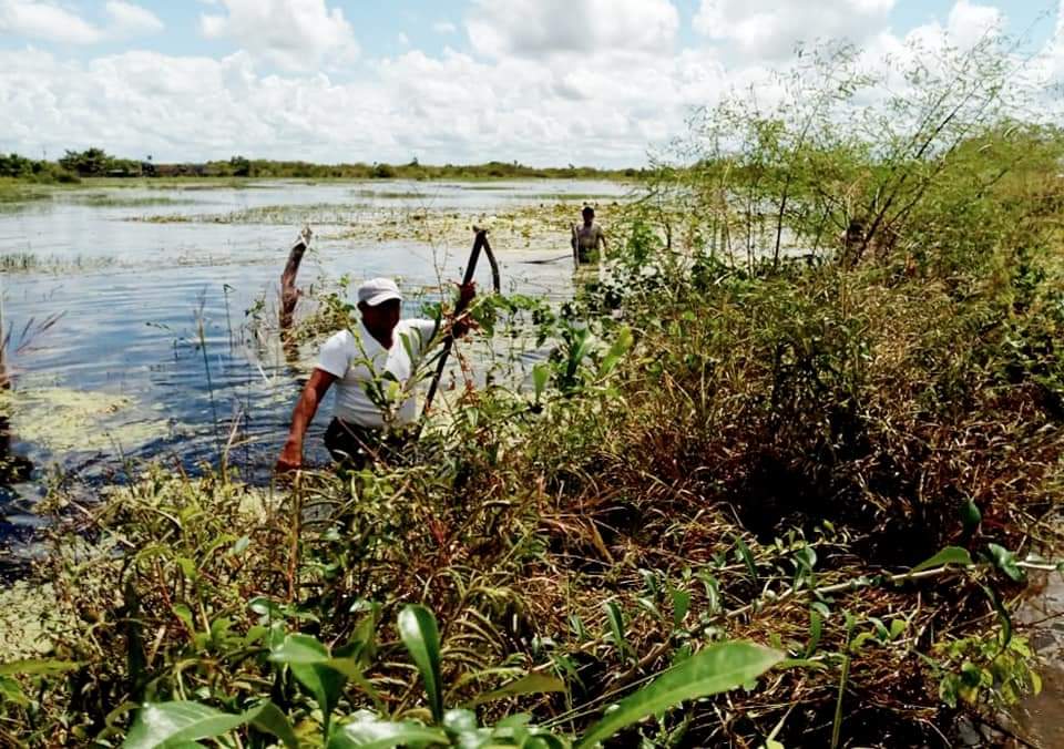 Censo a productores del campo afectados por las contingencias e inundaciones en Yucatán