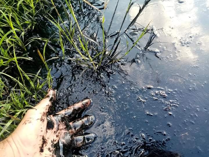 Un autobus de turis tetiz derramó aceite en los cultivos de Tetiz