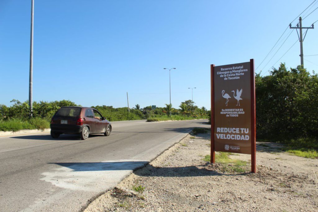 Colocan señalamientos para prevenir daños a los flamencos