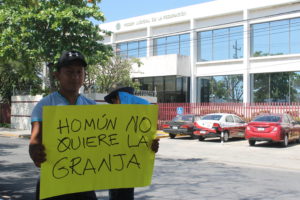 La megagranja porcícola de Homún continuará suspendida