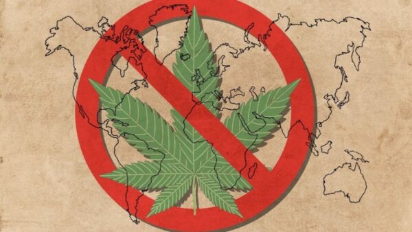 Frente nacional por la familia reprocha a senadores por aprobar la regulación del cannabis