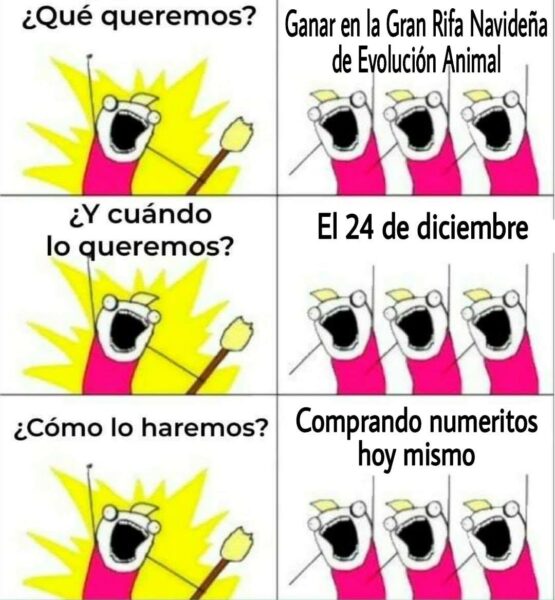 El santurario evolución animal A.C. Hace un llamado al reto “Navidad perruna”