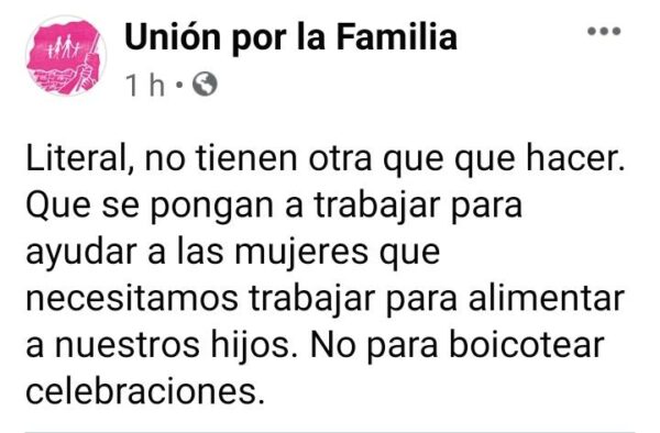 La unión por la familia acusó a colectivo “feminista” de boicotear la navidad