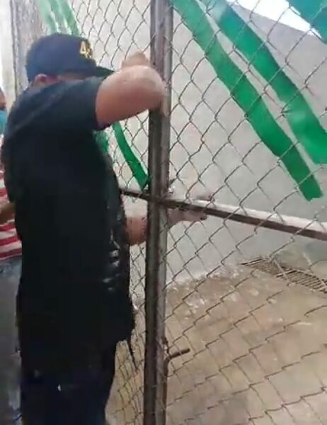 Red animal Yucatán arremete contra recastistas independientes