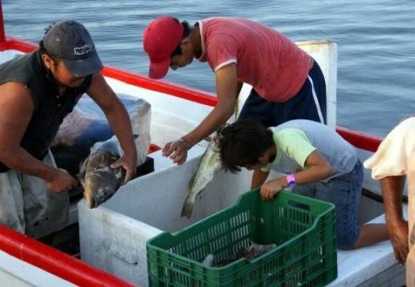El sector pesquero yucateco presentará propuestas para enfrentar la crisis