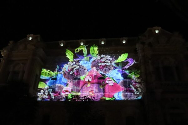 Videomapping muestra mundo desconocido de la flora y fauna peninsular