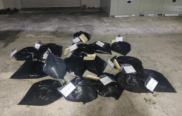 La Guardia Nacional Yucatán decomisó 318 kilos de pulpo