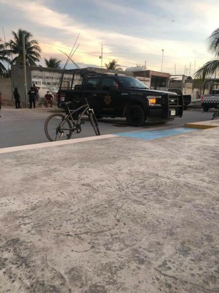 La FGR decomisa pulpo hallado en un túnel de Dzilam de Bravo