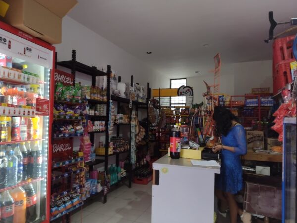 “Grace” dejó pérdidas por 15 millones de pesos al pequeño comercio