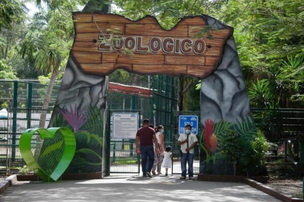 Con actividades lúdicas y paseos gratuitos, el parque zoológico del Centenario celebra su 111 aniversario
