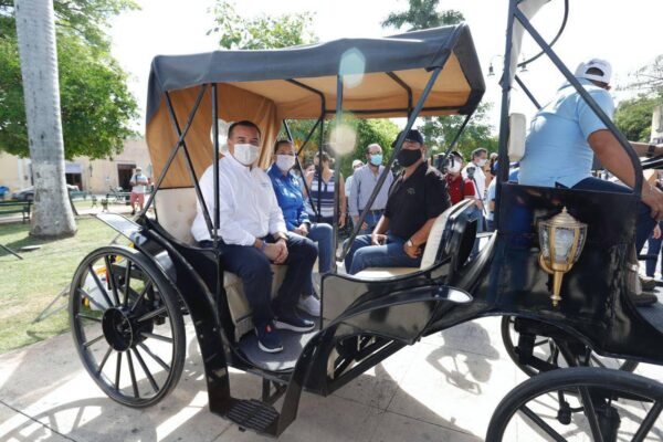 El Cabildo de Mérida aprobó por unanimidad el Reglamento para Protección a la Fauna