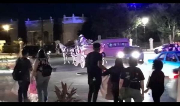 En plena protesta contra el maltrato animal se desvanece un caballo de calesa