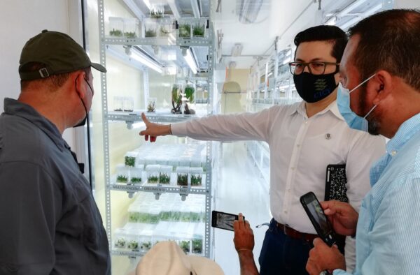 Yucatán y Belice vislumbran colaboración científica en materia agroalimentaria