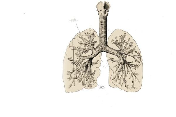 Hay más casos de Covid, porque se aplican mayor número de pruebas en Yucatán
