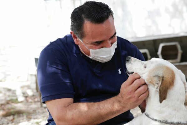 El Ayuntamiento realiza el Foro Mérida por el Bienestar Animal