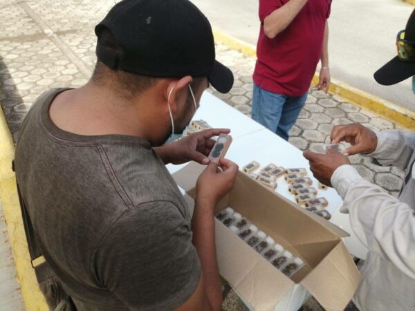 Con el apoyo del Gobernador Mauricio Vila Dosal, apicultores del estado incrementan y dan valor agregado a la miel yucateca
