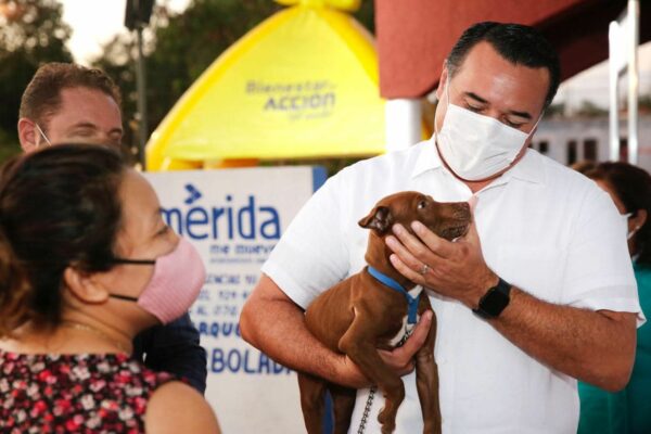 Renán Barrera promueve más acciones a favor del bienestar animal y la tenencia responsable