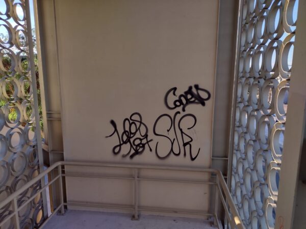 Vandalizan puente peatonal de Santa Cruz Palomeque, de la ruta “Va-y-ven”