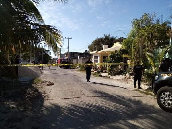 Balean a una perra Pitbull en Progreso