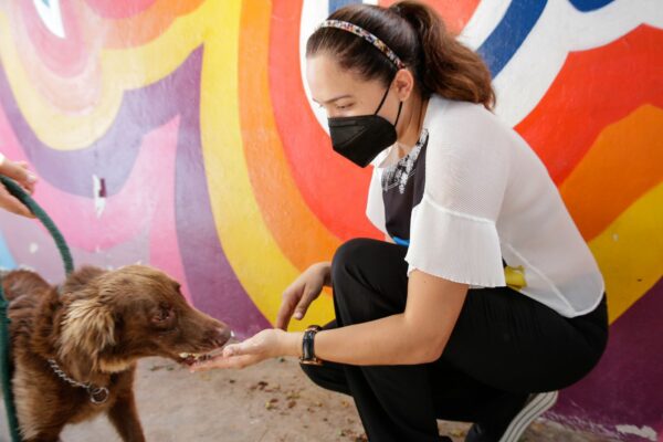 Próximamente habrá nuevos espacios de adopción y entretenimiento para los huéspedes del CEMCA
