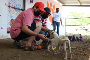 Se realiza la primera sesión virtual del Consejo Consultivo de Protección a la Fauna del Municipio de Mérida 2021-2024