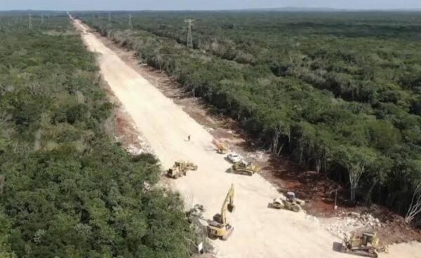 Fonatur negó ecocidio para construir el trayecto del Tren Maya