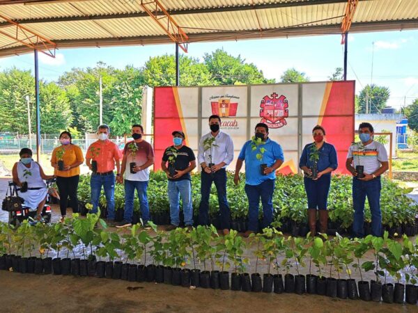 El Gobierno del Estado continúa consolidando la siembra de achiote como un recurso más para apoyar a productores yucatecos