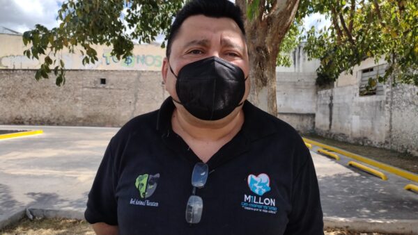 Activistas por los derechos de los animales y rescatistas proponen campañas masivas de esterilización en Mérida