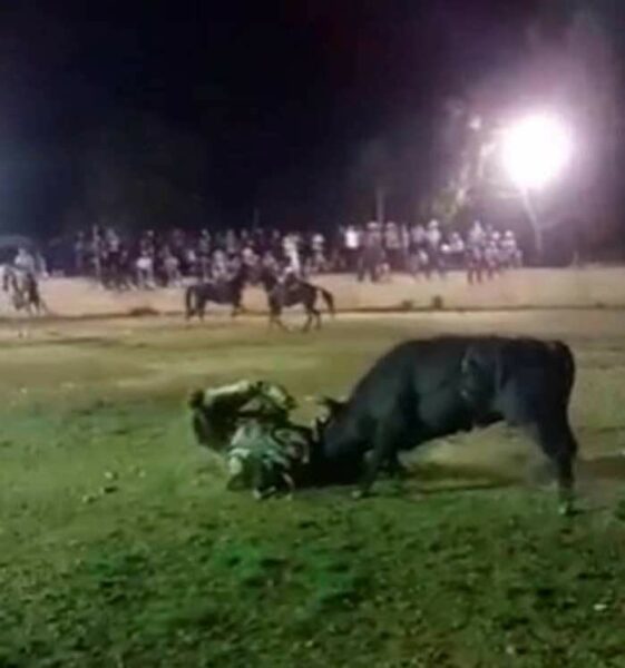 Congreso yucateco regulará los torneos de lazo