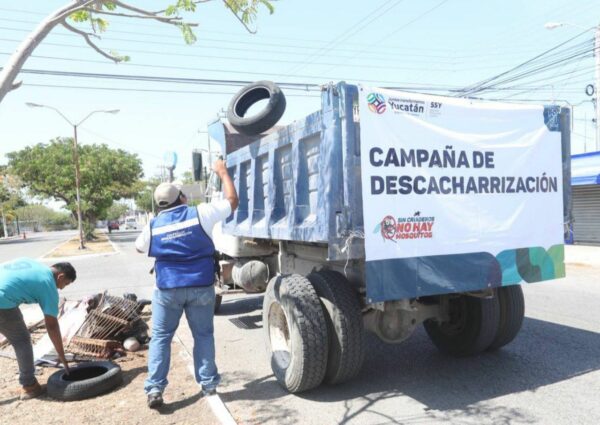 Buena respuesta de la ciudadanía en la Campaña de Descacharrización en Mérida 